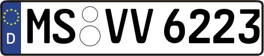 MS-VV6223