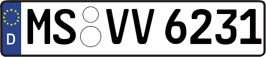 MS-VV6231
