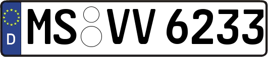 MS-VV6233