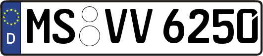 MS-VV6250