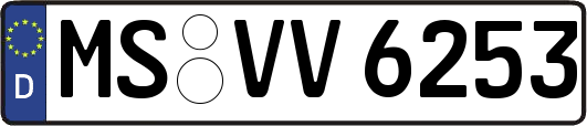 MS-VV6253