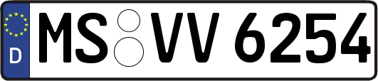 MS-VV6254