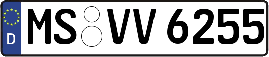 MS-VV6255