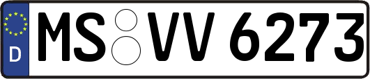 MS-VV6273