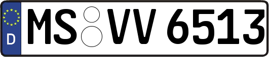 MS-VV6513