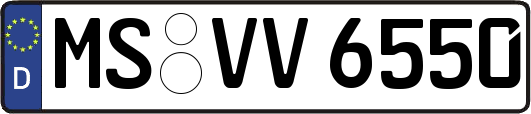 MS-VV6550
