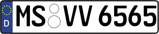 MS-VV6565