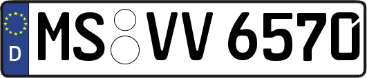 MS-VV6570