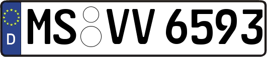 MS-VV6593