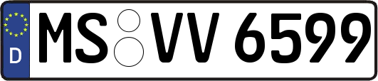 MS-VV6599