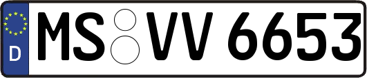 MS-VV6653
