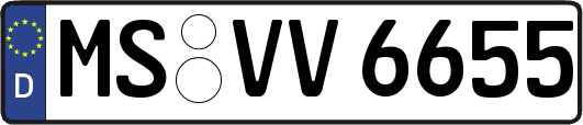 MS-VV6655