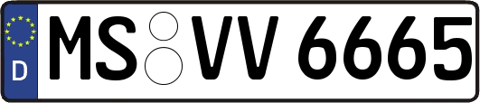 MS-VV6665