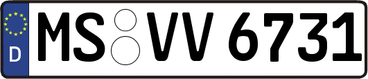 MS-VV6731