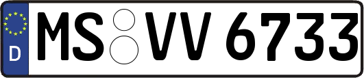 MS-VV6733