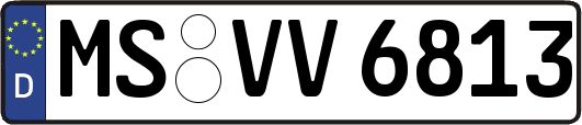 MS-VV6813