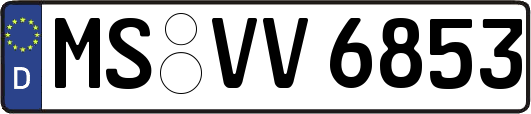 MS-VV6853