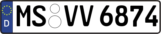 MS-VV6874