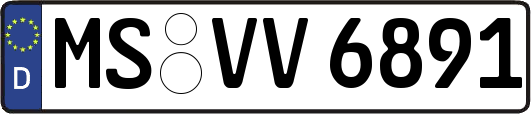MS-VV6891