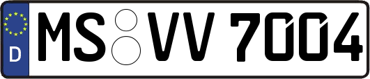 MS-VV7004