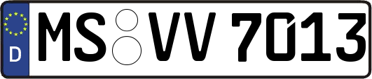 MS-VV7013