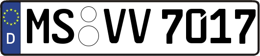 MS-VV7017
