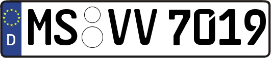MS-VV7019
