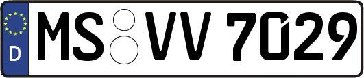 MS-VV7029