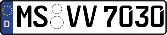 MS-VV7030