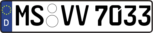 MS-VV7033