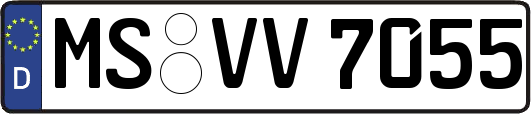 MS-VV7055