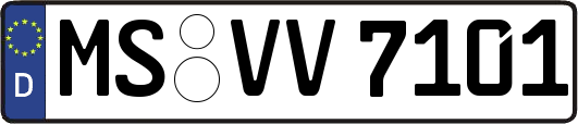 MS-VV7101