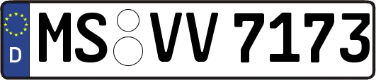 MS-VV7173