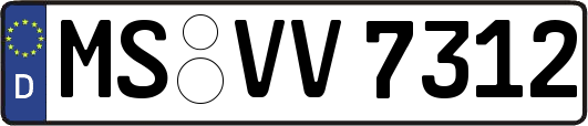 MS-VV7312