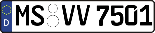 MS-VV7501