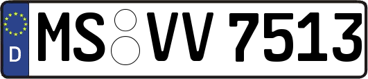 MS-VV7513