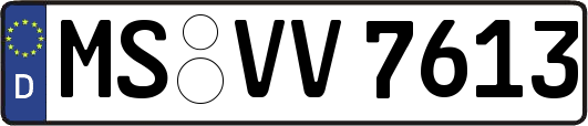 MS-VV7613