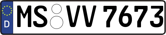 MS-VV7673