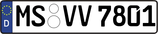 MS-VV7801