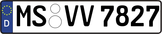 MS-VV7827
