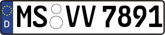 MS-VV7891