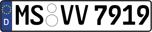 MS-VV7919