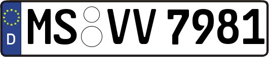 MS-VV7981