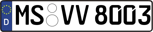 MS-VV8003