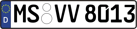MS-VV8013