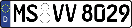 MS-VV8029