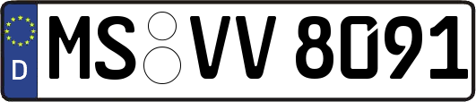 MS-VV8091