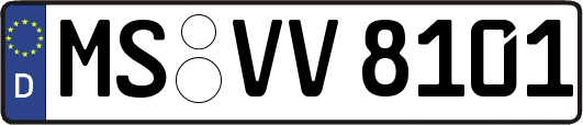 MS-VV8101