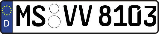 MS-VV8103