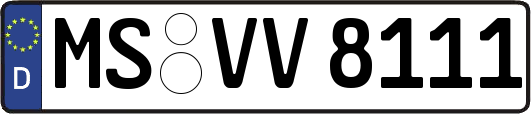 MS-VV8111